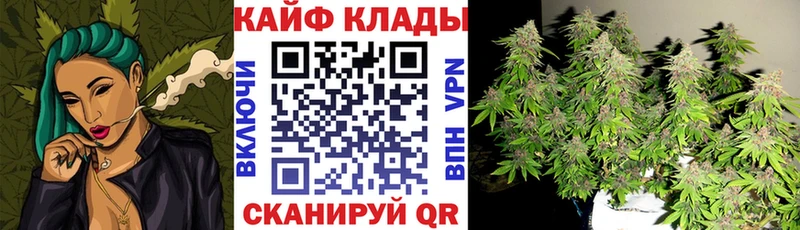 Магазины продажи наркотиков Чёрмоз Канабис  МЕФ  Альфа ПВП  ГАШ 
