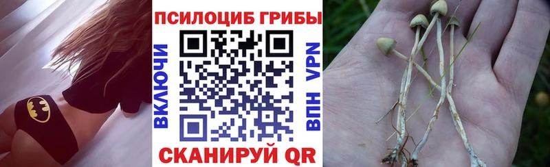 Псилоцибиновые грибы Psilocybe  Чёрмоз 